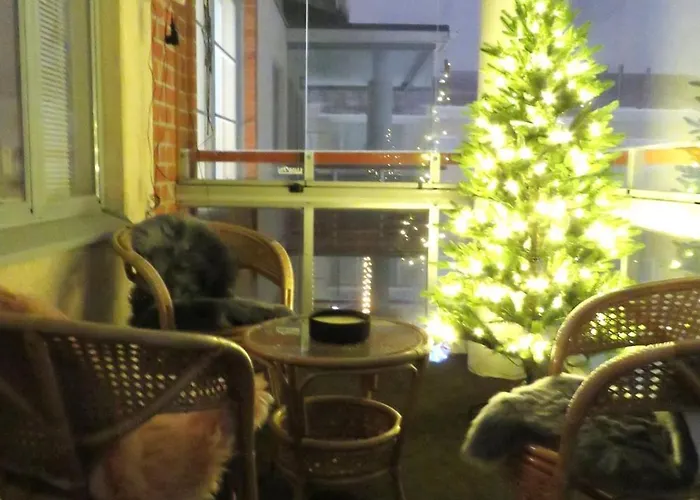 Great To * Rovaniemi